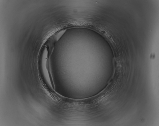 X0000088860626200706291518