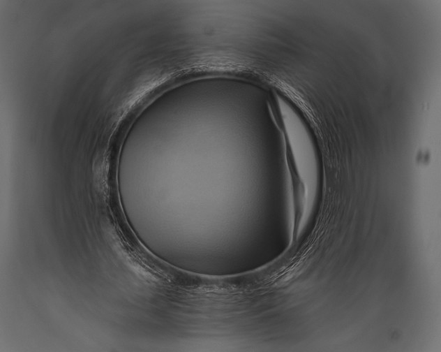 X0000088860627200706291518