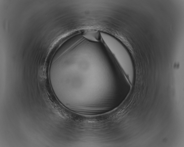 X0000088860628200706291518