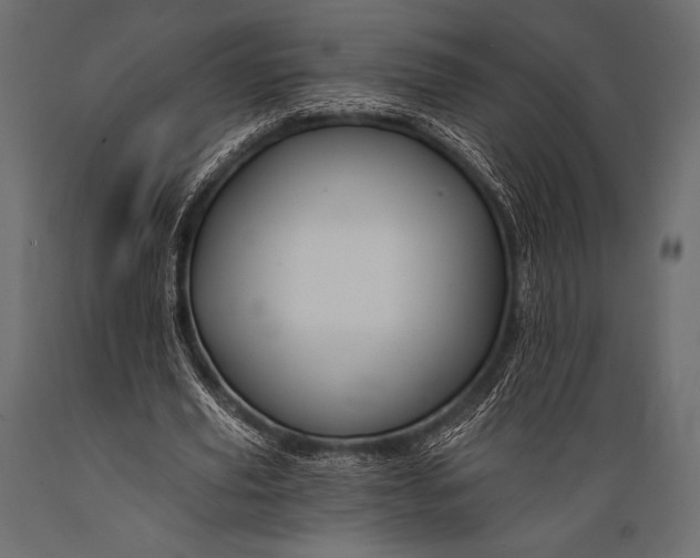 X0000088860629200706291518