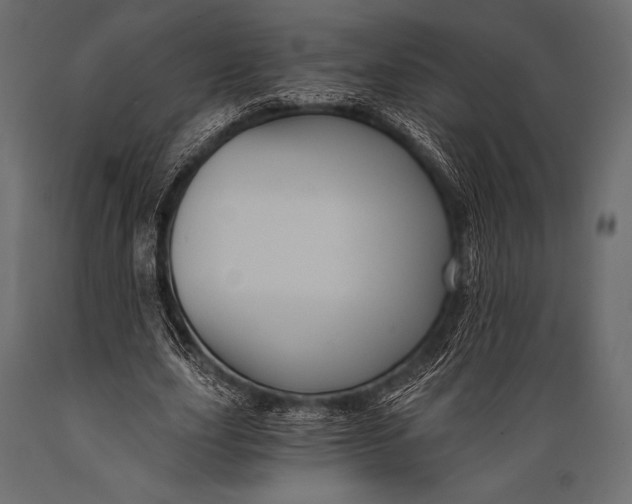 X0000088860631200706291518