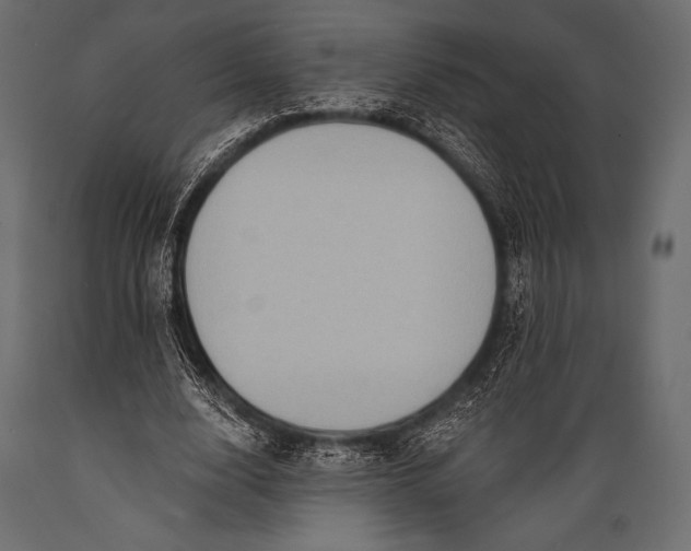 X0000088860632200706291518