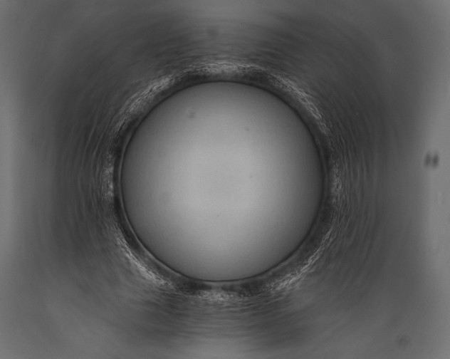 X0000088860633200706291518