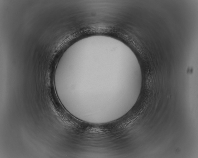 X0000088860635200706291519