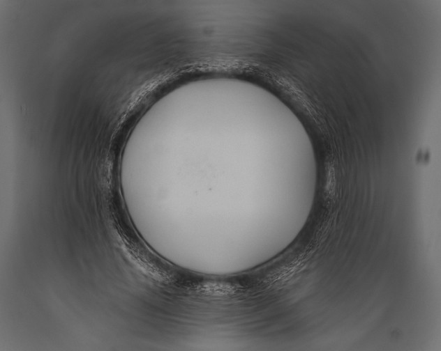 X0000088860636200706291519