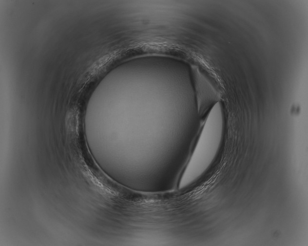 X0000088860637200706291519