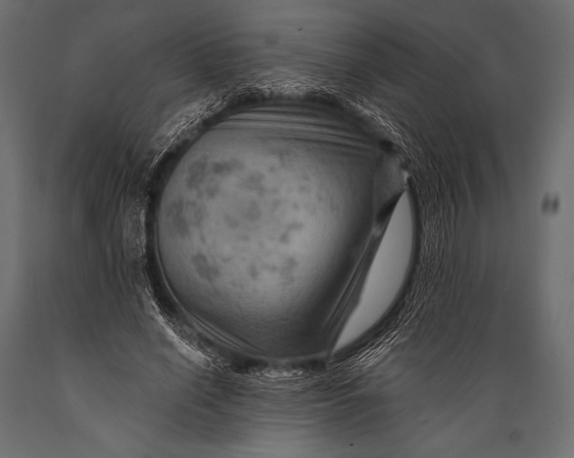 X0000088860638200706291519