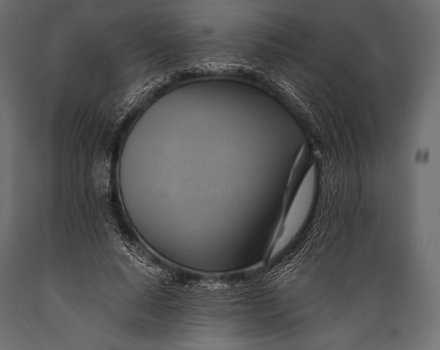 X0000088860640200706291519