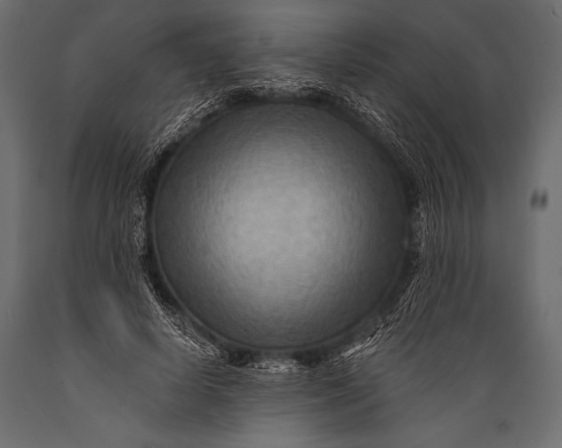 X0000088860642200706291519