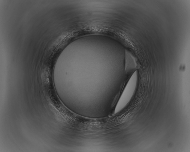 X0000088860643200706291519