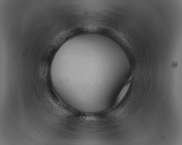 X0000088860645200706291519