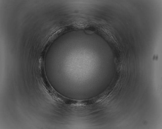 X0000088860647200706291519