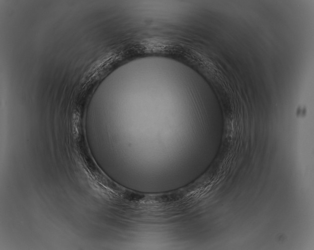 X0000088860648200706291519