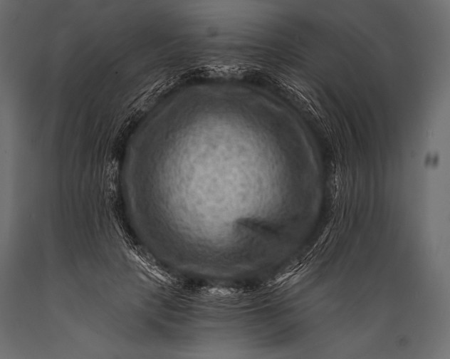 X0000088860649200706291519