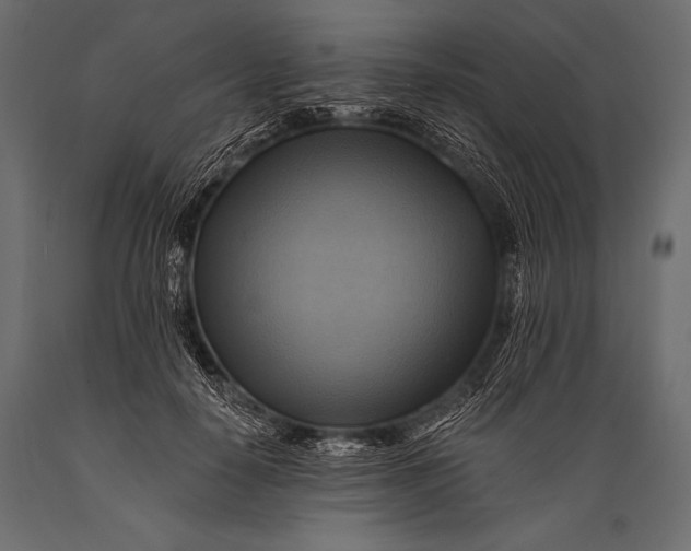 X0000088860650200706291519