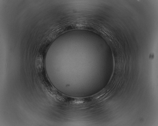 X0000088860651200706291519