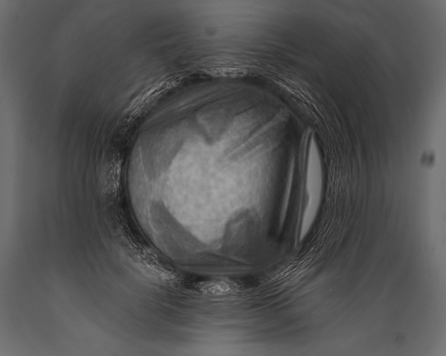 X0000088860652200706291519