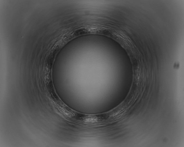 X0000088860653200706291519