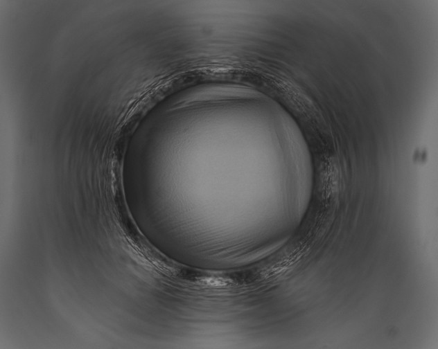 X0000088860654200706291519