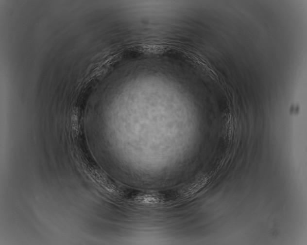 X0000088860655200706291519