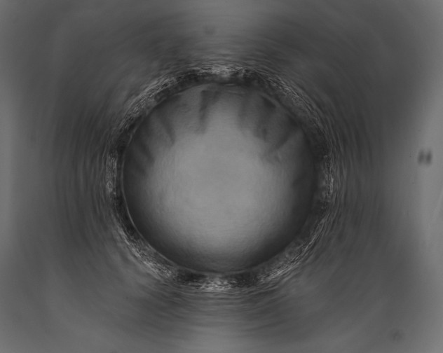 X0000088860656200706291519