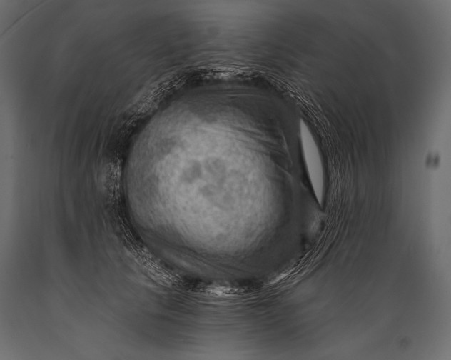 X0000088860657200706291519