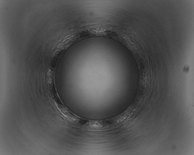 X0000088860658200706291519