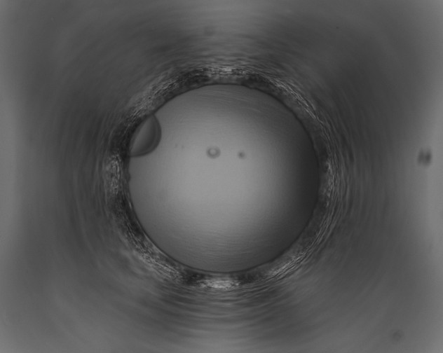 X0000088860659200706291519