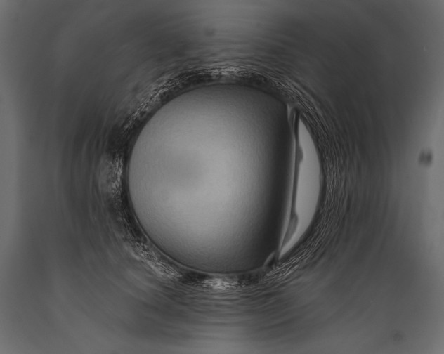 X0000088860660200706291519