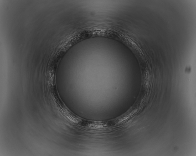 X0000088860661200706291519