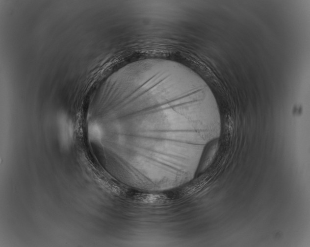 X0000088860663200706291519