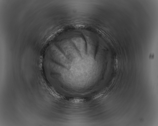 X0000088860664200706291519