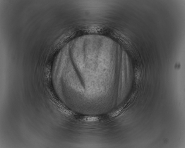 X0000088860665200706291519