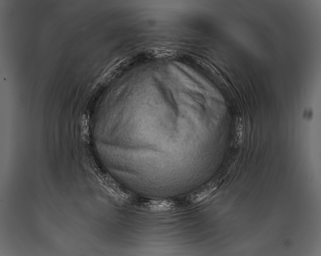 X0000088860667200706291519