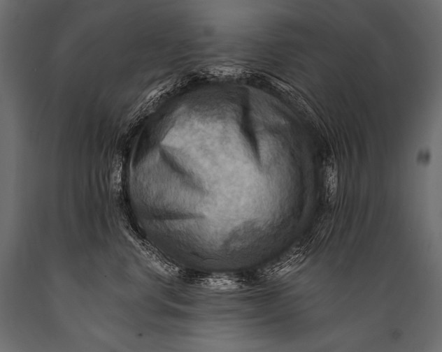 X0000088860668200706291519