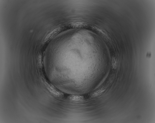 X0000088860670200706291519