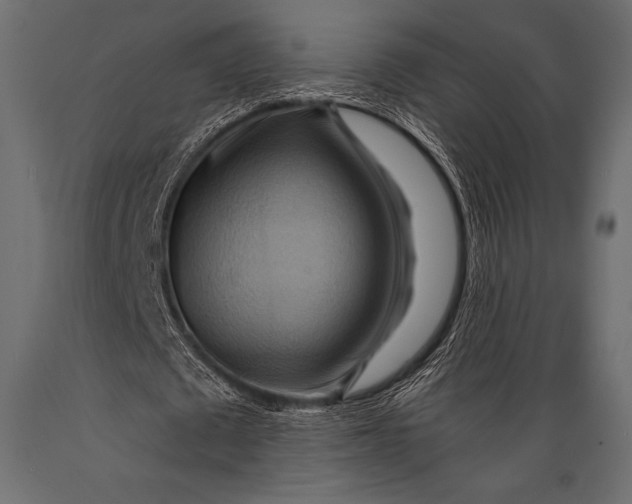 X0000088860673200706291518