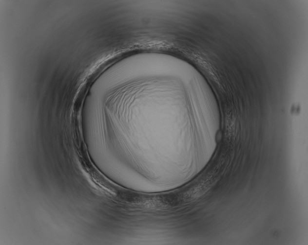 X0000088860674200706291518