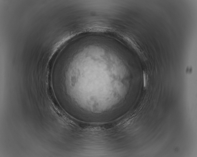 X0000088860675200706291518