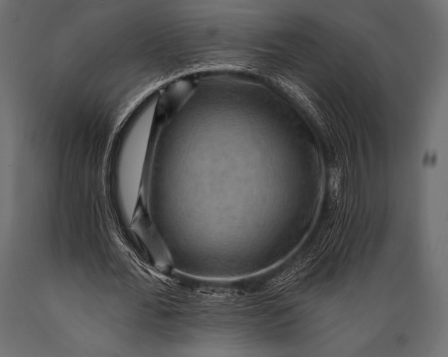 X0000088860676200706291518