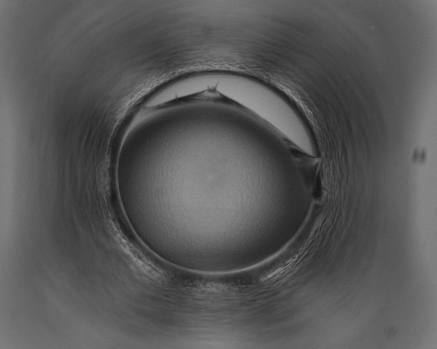 X0000088860677200706291518
