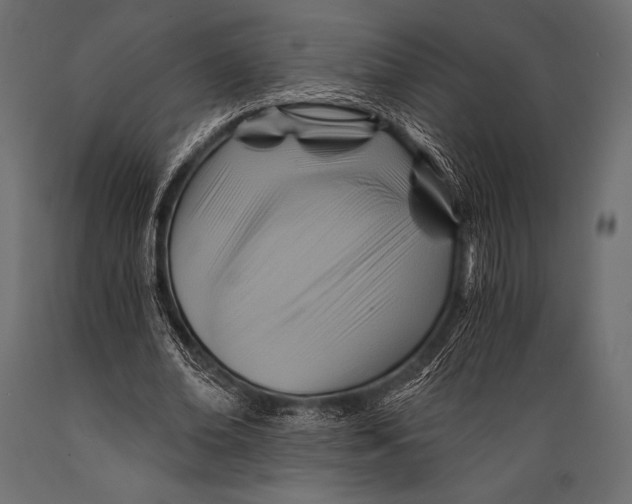 X0000088860678200706291518