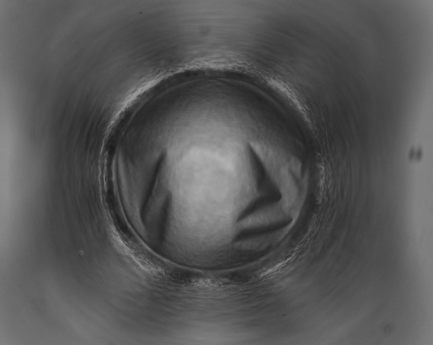 X0000088860680200706291518