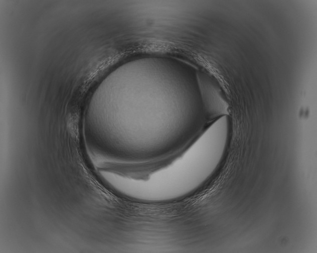 X0000088860681200706291518