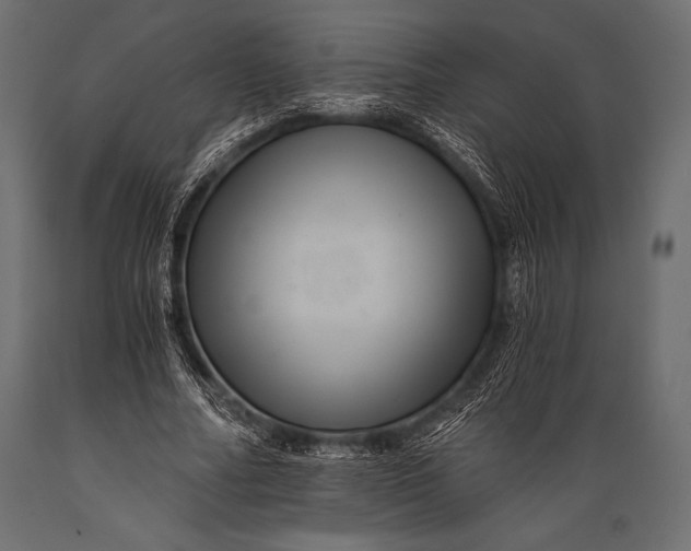 X0000088860682200706291518