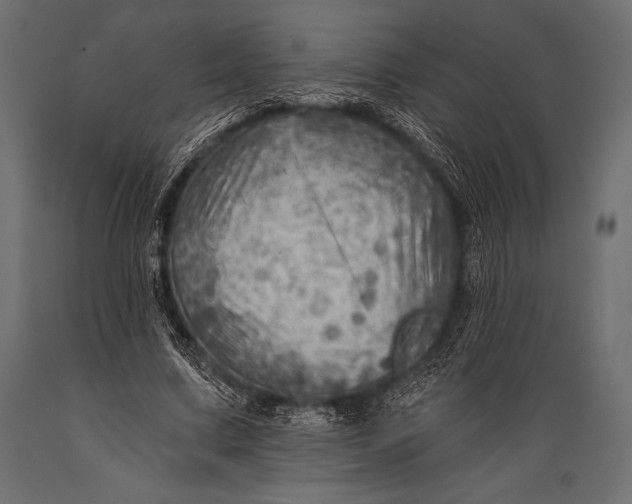 X0000088860683200706291518