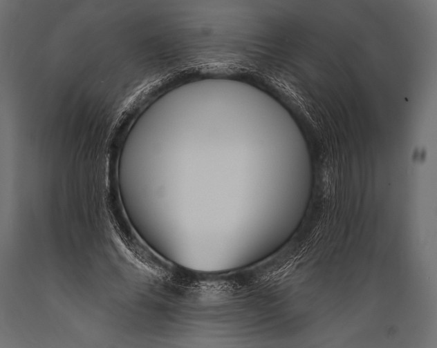 X0000088860686200706291518