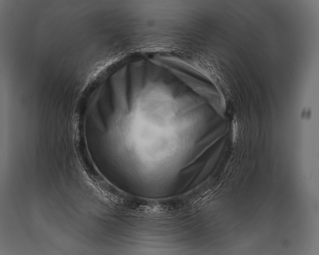 X0000088860688200706291518