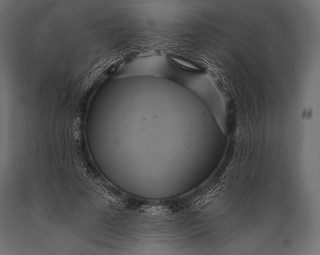 X0000088860689200706291518