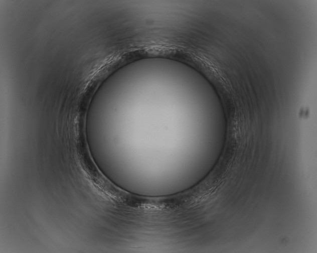 X0000088860690200706291518